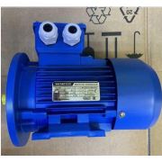 Электродвигатель